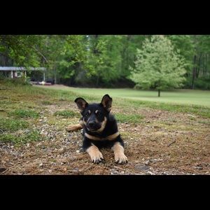 Meet your Posher, Bethany